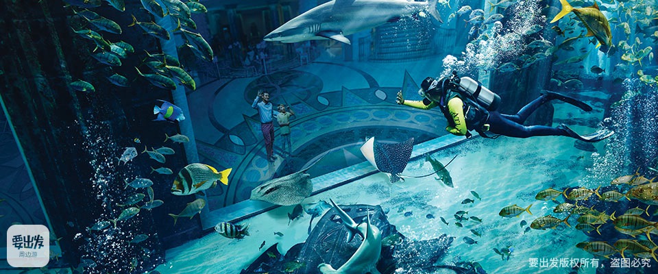 三亚亚特兰蒂斯失落的空间水族馆预订地址价格查询 【要出发， 有品质的旅行】 