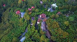 莫干山芦花荡饭店*