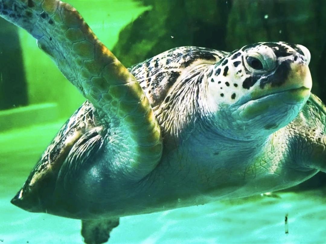 常州海昌海洋探索馆