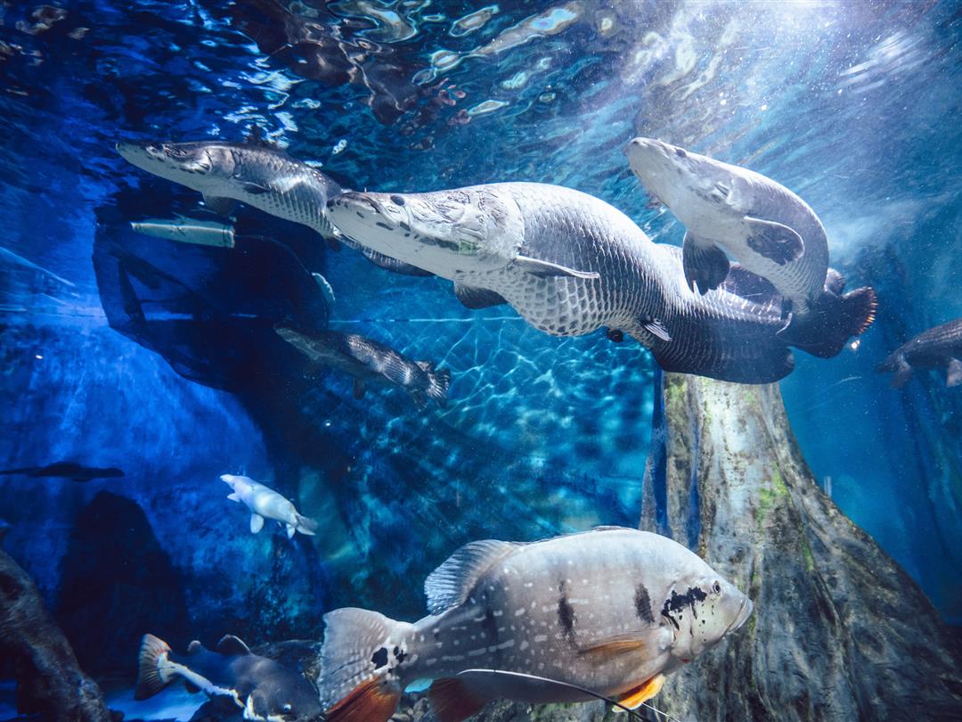 盐城海昌海洋探索馆