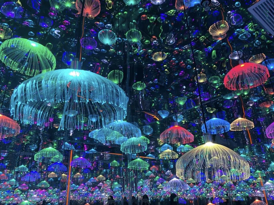 深圳独角兽星空艺术馆