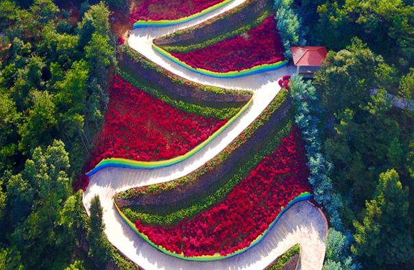 麓湖山文化产业园