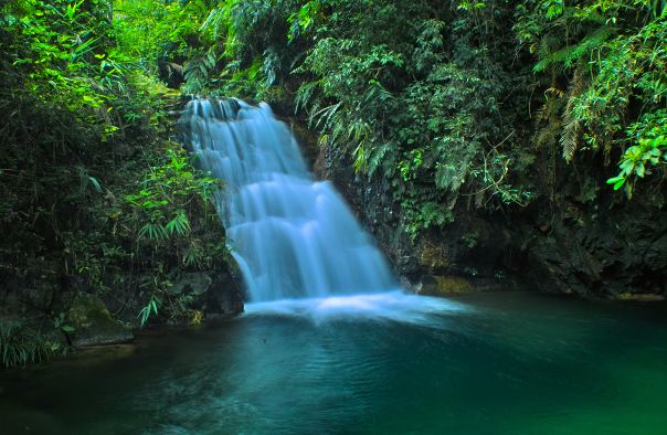 黄金沟森林旅游景区