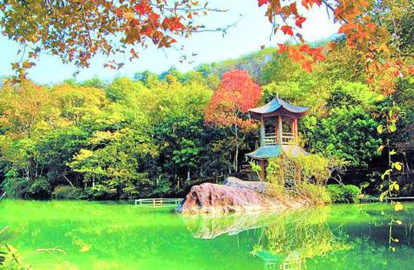 野趣沟风景旅游区