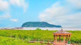 海陵岛红树林国家湿地公园
