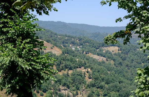 台山北峰山国家森林公园