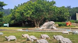 黄花山国家森林公园