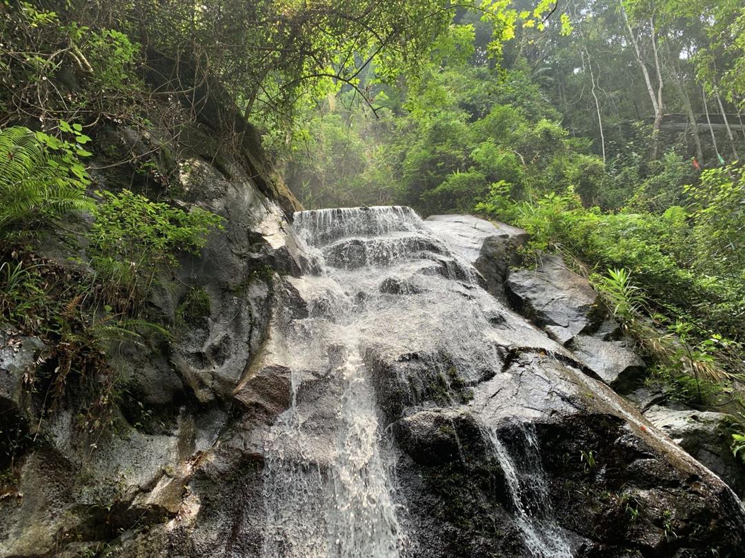 桂山风景区国家森林公园