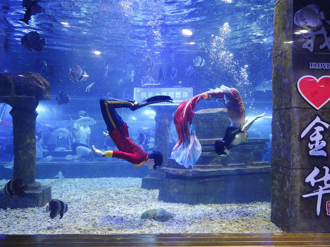 万泰海立方海洋公园