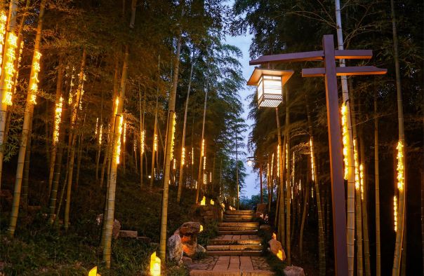 杼山妙境天下茶经