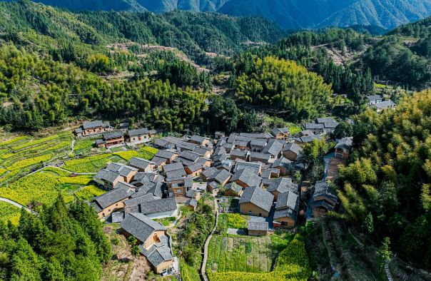 凡界·星宿高田