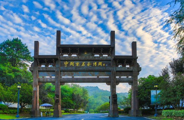 安吉宋茗茶博园