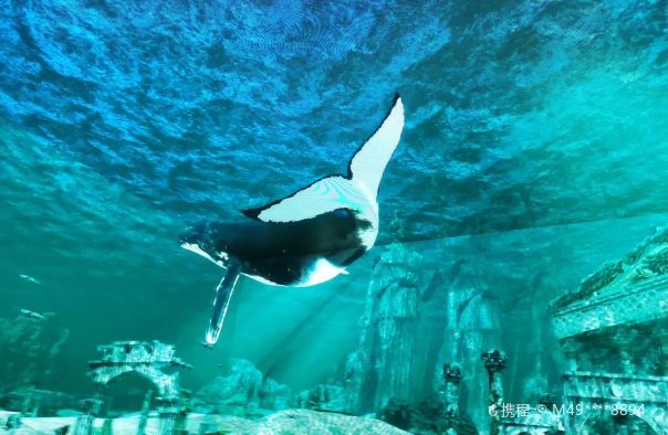 杭州悬空玻璃艺术馆