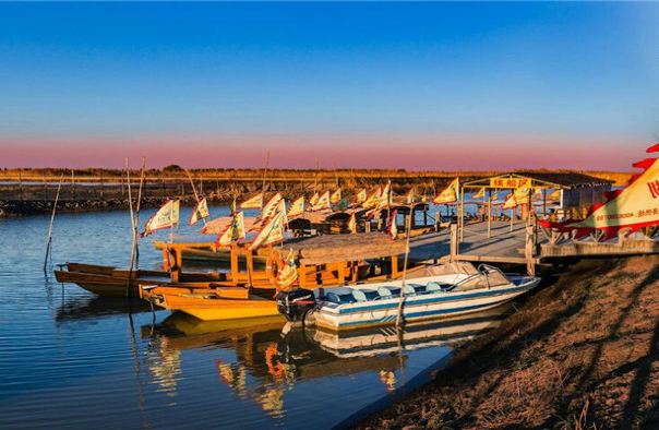 高邮湖芦苇荡湿地公园