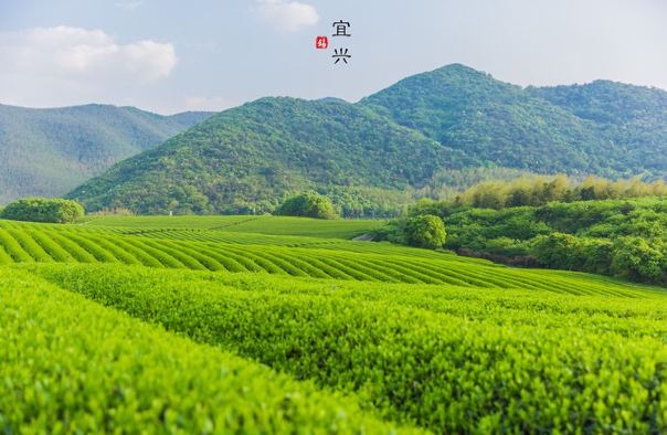 龙池山自行车公园