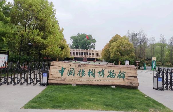 中国杨树博物馆