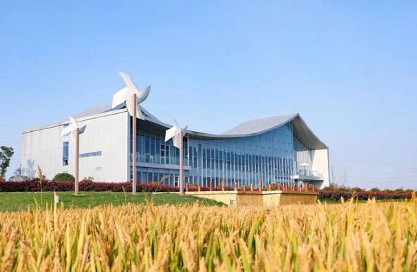 灵粮农场自由田野乐园