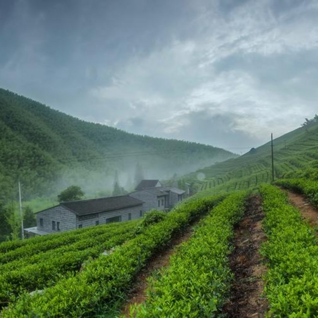 莫干山原舍望山美宿