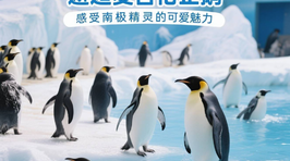 深圳恒远海立方环游城