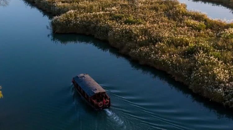 西溪湿地公园北门码头