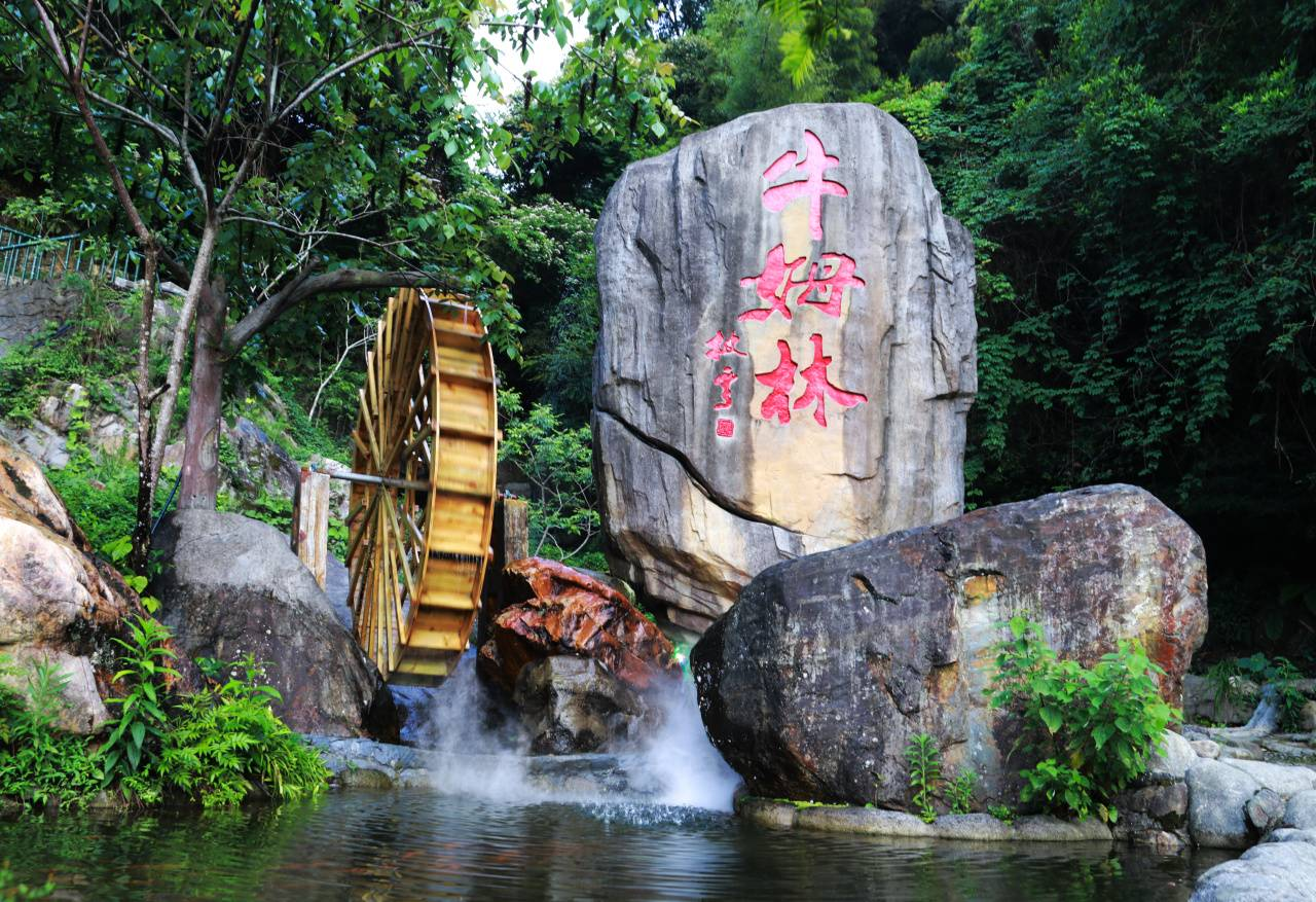 永春牛姆林青钱柳山庄