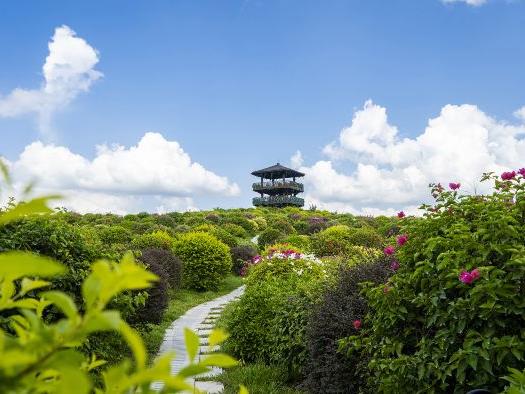 千花洲生态景区