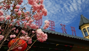 惠州那里花开主题公园