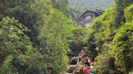 南海湾森林生态园