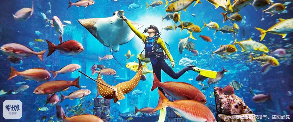 三亚亚特兰蒂斯失落的空间水族馆预订地址价格查询 【要出发， 有品质的旅行】 