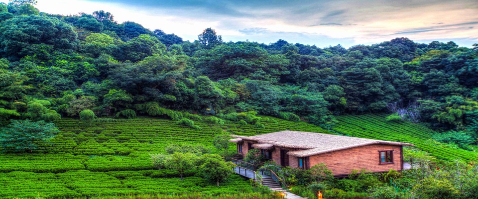 杭州开元森泊度假酒店