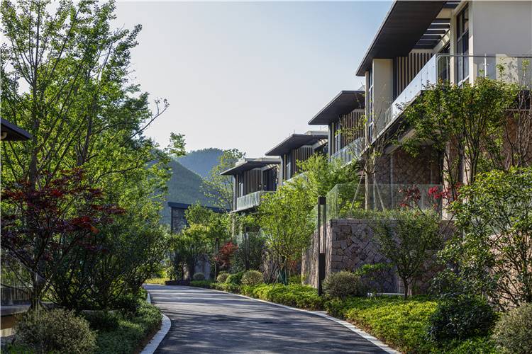 浙江湖州莫干山开元颐居地热森林