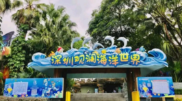 观澜海洋世界