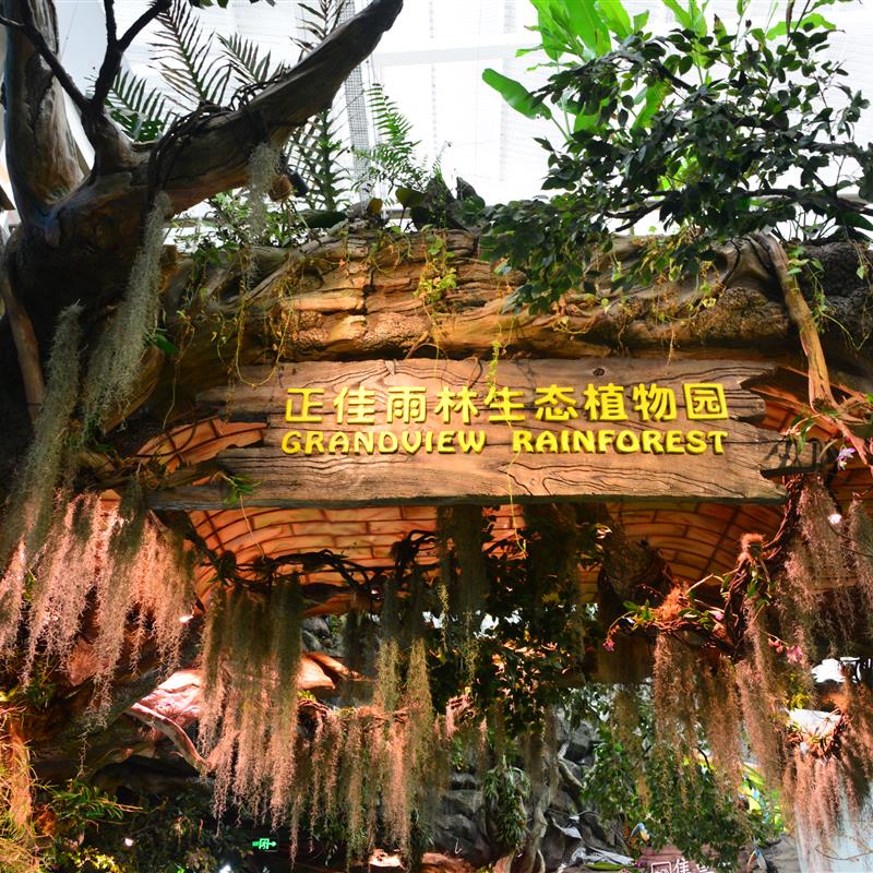 正佳雨林生态植物园