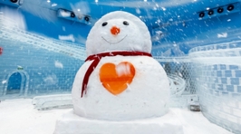 正佳企鹅冰雪世界