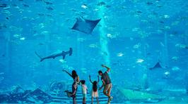 亚特兰蒂斯失落的空间水族馆