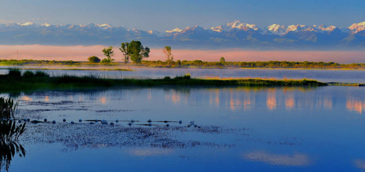 昭苏湿地公园景区