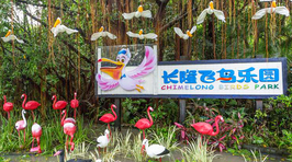 广州长隆飞鸟乐园