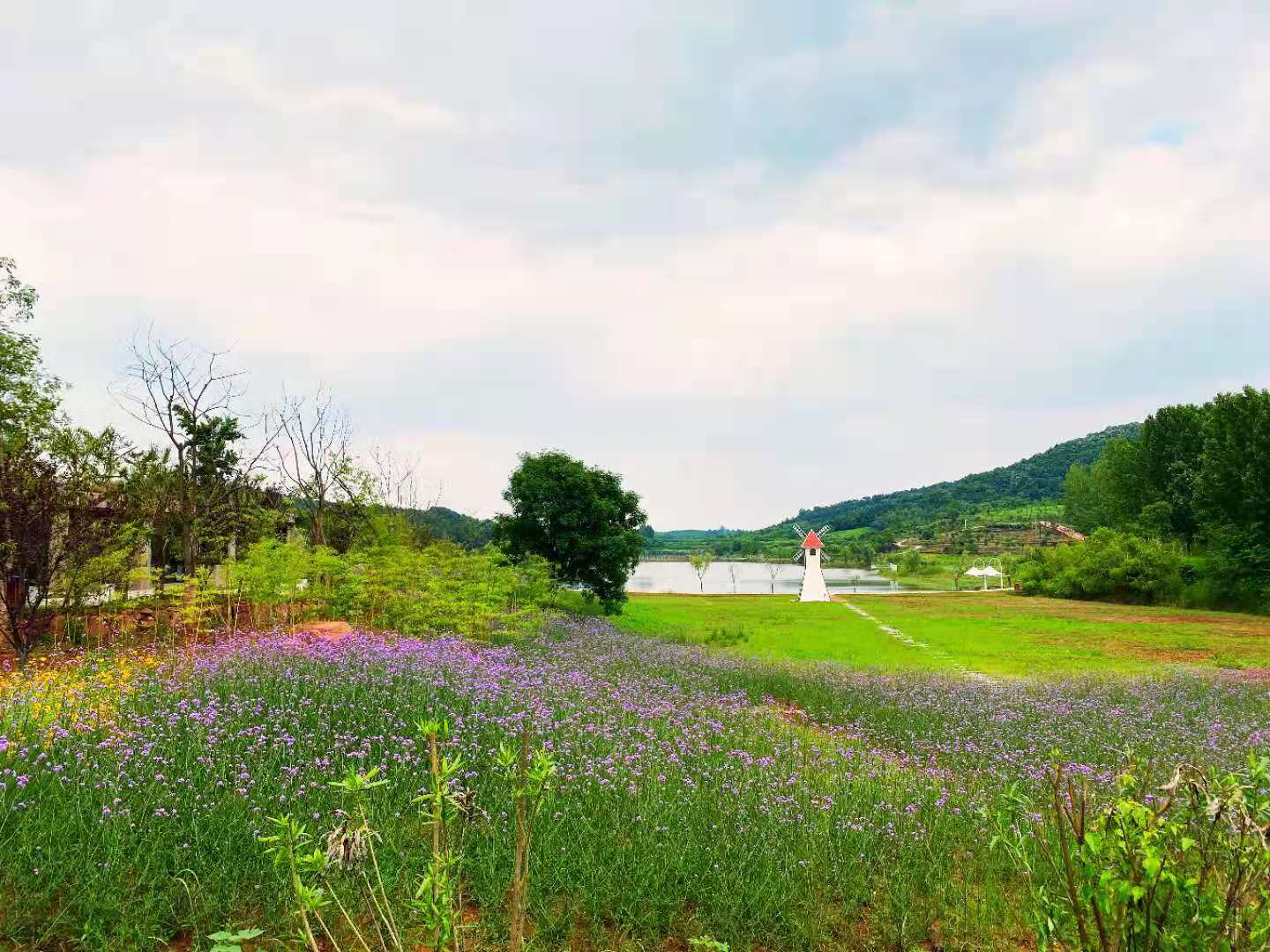 合肥紫蓬山星野蓬境生态园预订