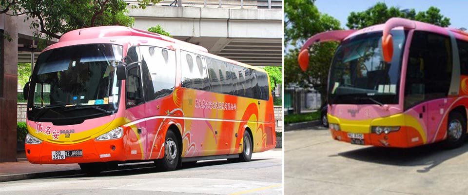 环岛中港通跨境巴士车票