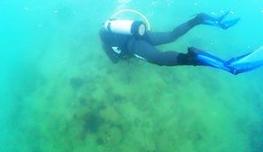 阳西沙扒湾浮潜套票(浮潜+船票+淡水浴)